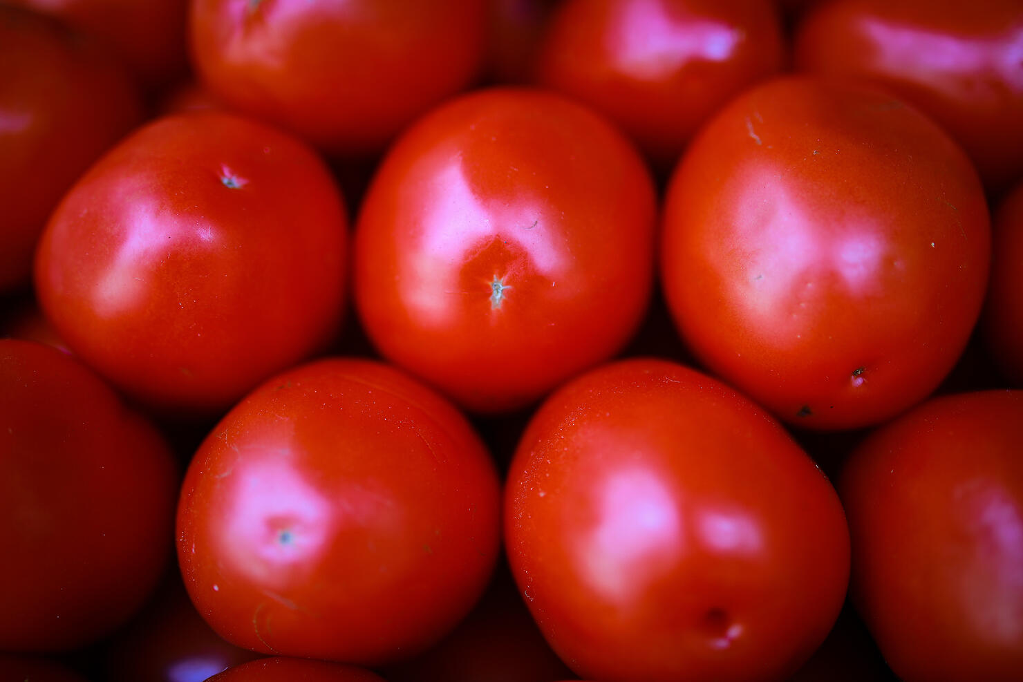 United States Imposes New Tariff On Mexican Tomato Imports
