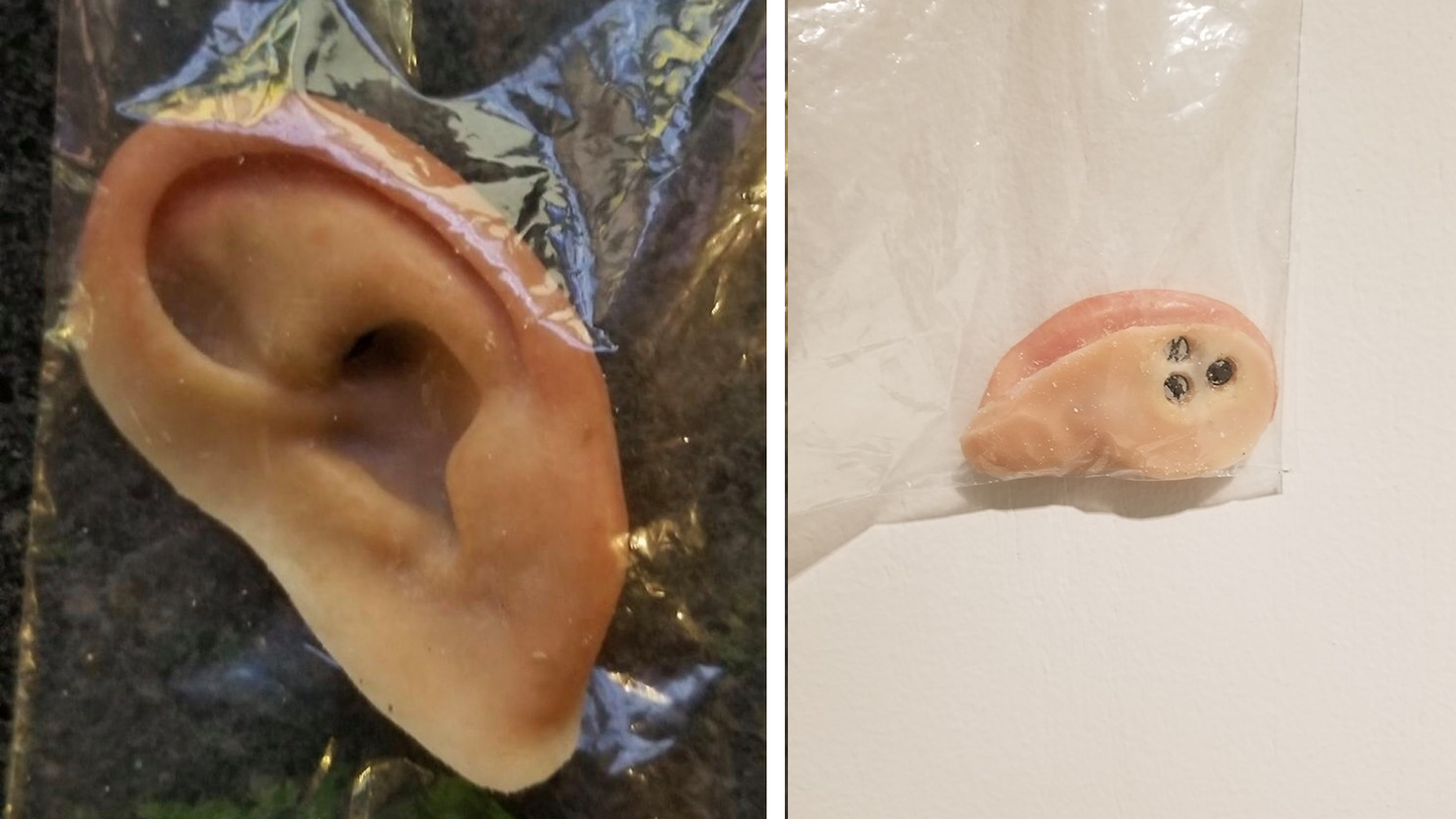 prosthetic ear found in southwest florida