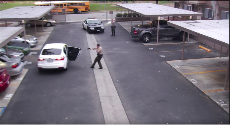 Video of Deadly Deputy-Involved Shooting in Willowbrook Released 
