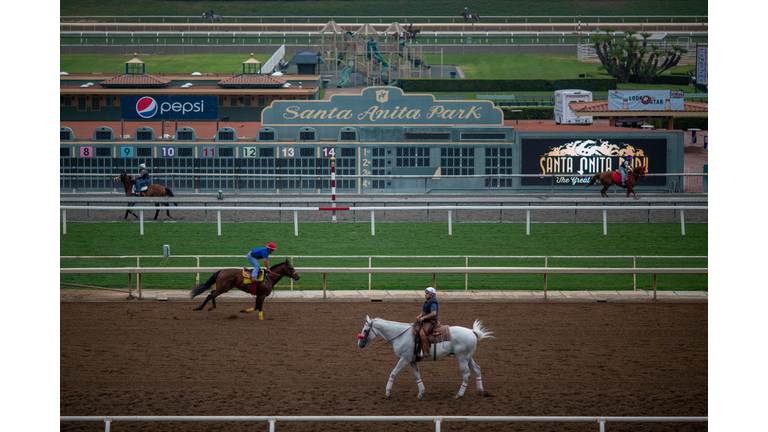 Horses At Santa Anita Horse Track To Be Reviewed By Safety Team Prior Races