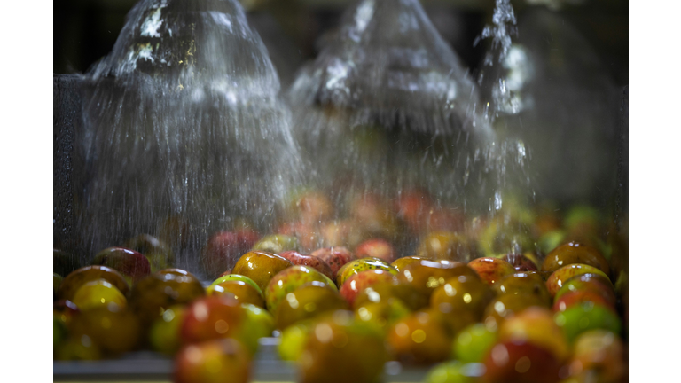 SPAIN-AGRICULTURE-FOOD-CIDER