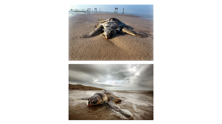 One Year Anniversary Of BP Oil Spill Approaches