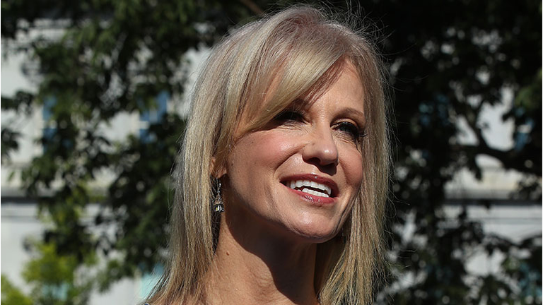 Kellyanne Conway Speaks To The Press At The White House