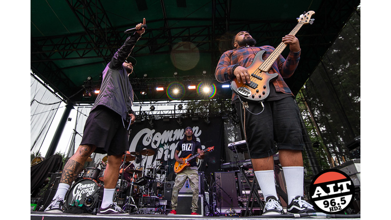 Sublime with Rome at Marymoor Park with Common Kings, Seranation, and Soja