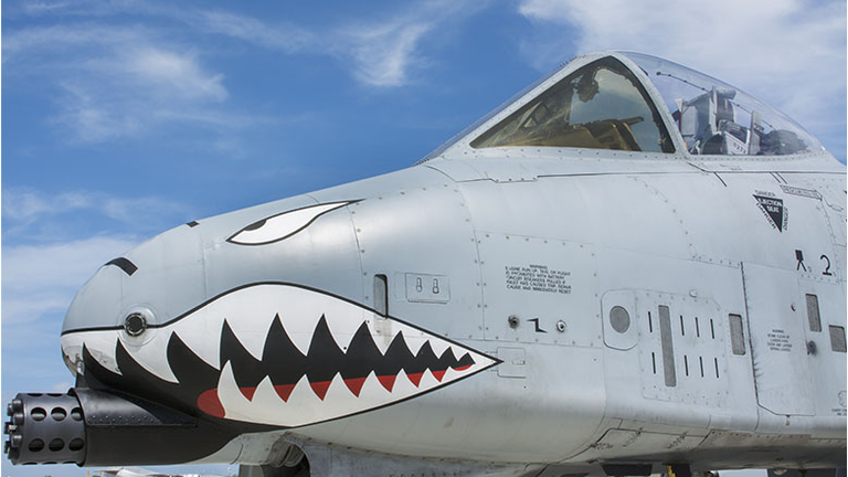 Tico Warbird Air Show Warthog A-10C Thunderbolt II US Airforce