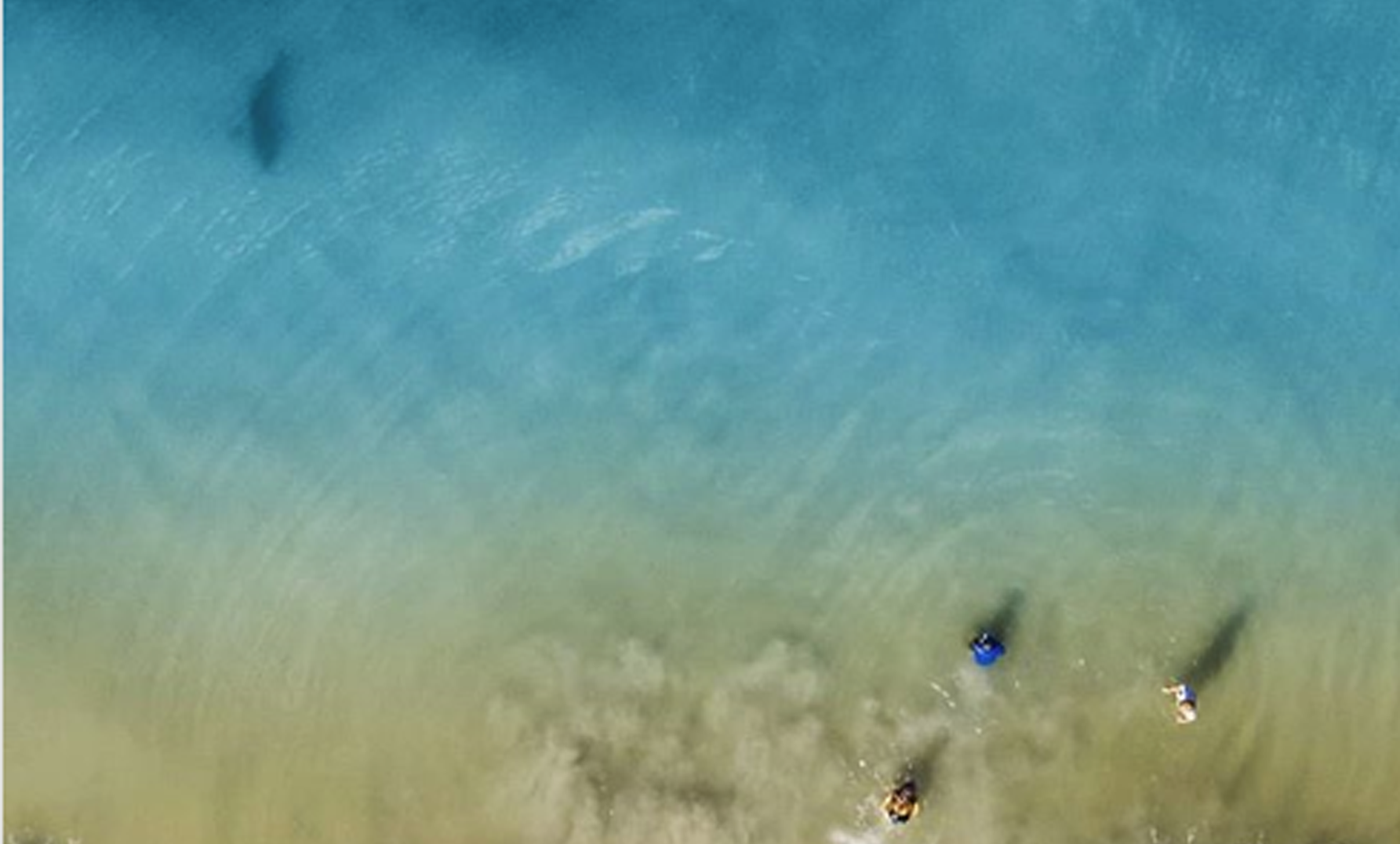 Dad Uses Drone To Snap Photo Of Sharks Swimming Near His Family Iheartradio