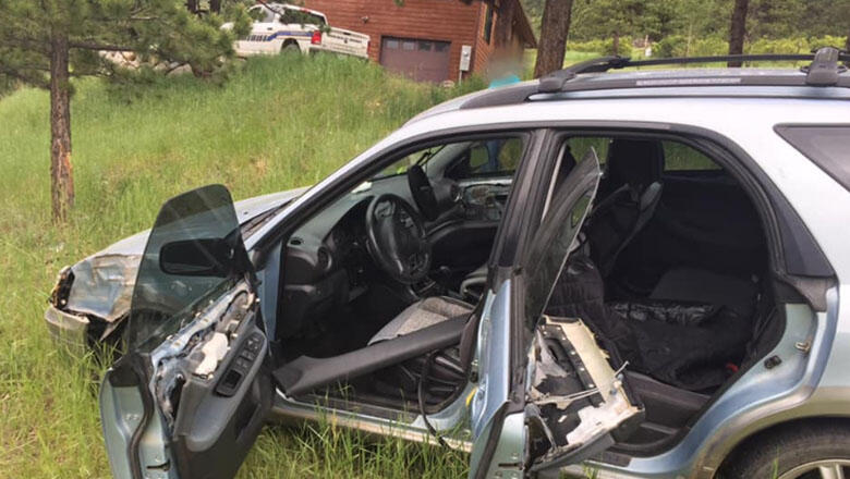 Bear Breaks Into Car, Shifts It Into Neutral, Rolls Down 100 Foot Hill - Thumbnail Image