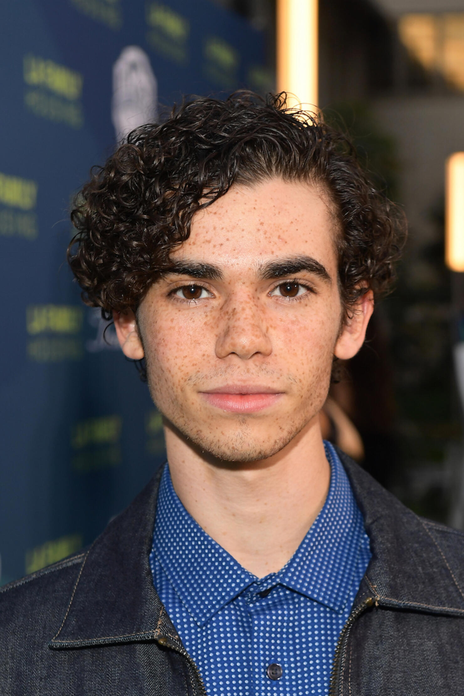 2018 LA Family Housing Awards - Red Carpet