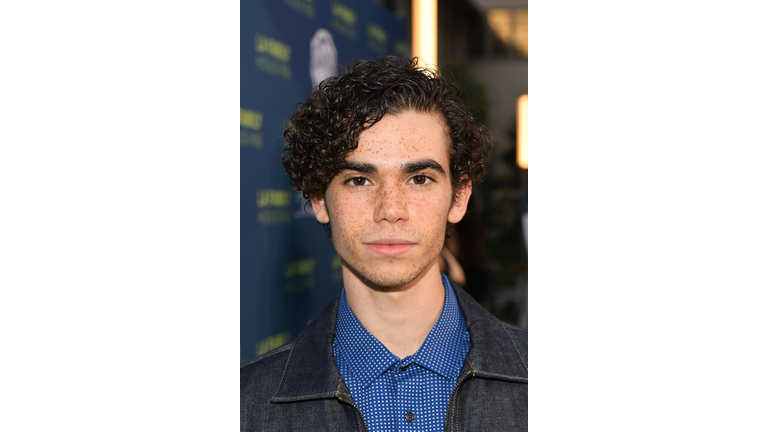 2018 LA Family Housing Awards - Red Carpet