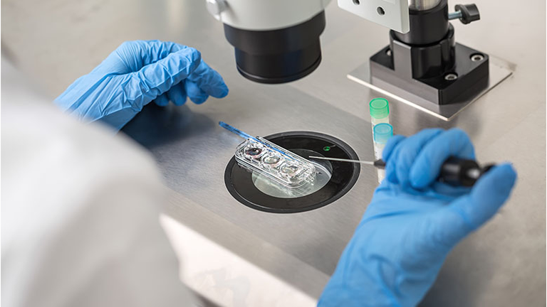 Checking result of in vitro fertilization