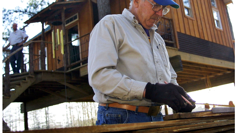 Architect Sets High Standard In Treehouse