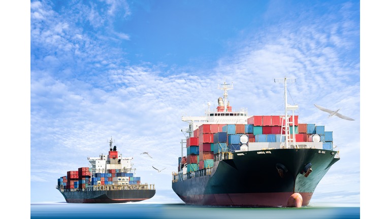 Container Cargo ship in the ocean with Birds flying