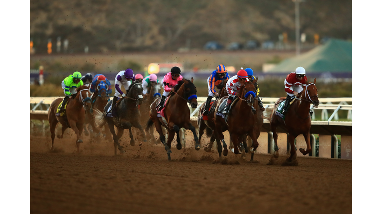 2017 Breeders' Cup World Championships at Del Mar - Day 2