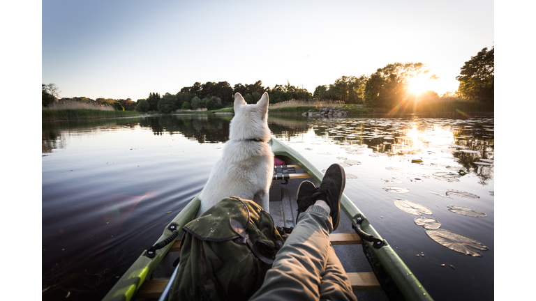 Dog enjoys canoe on a river