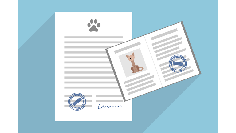 Pet adoption contract and cat passport