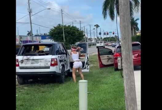 Jeffrey Epstein Sexual Offender Flyer