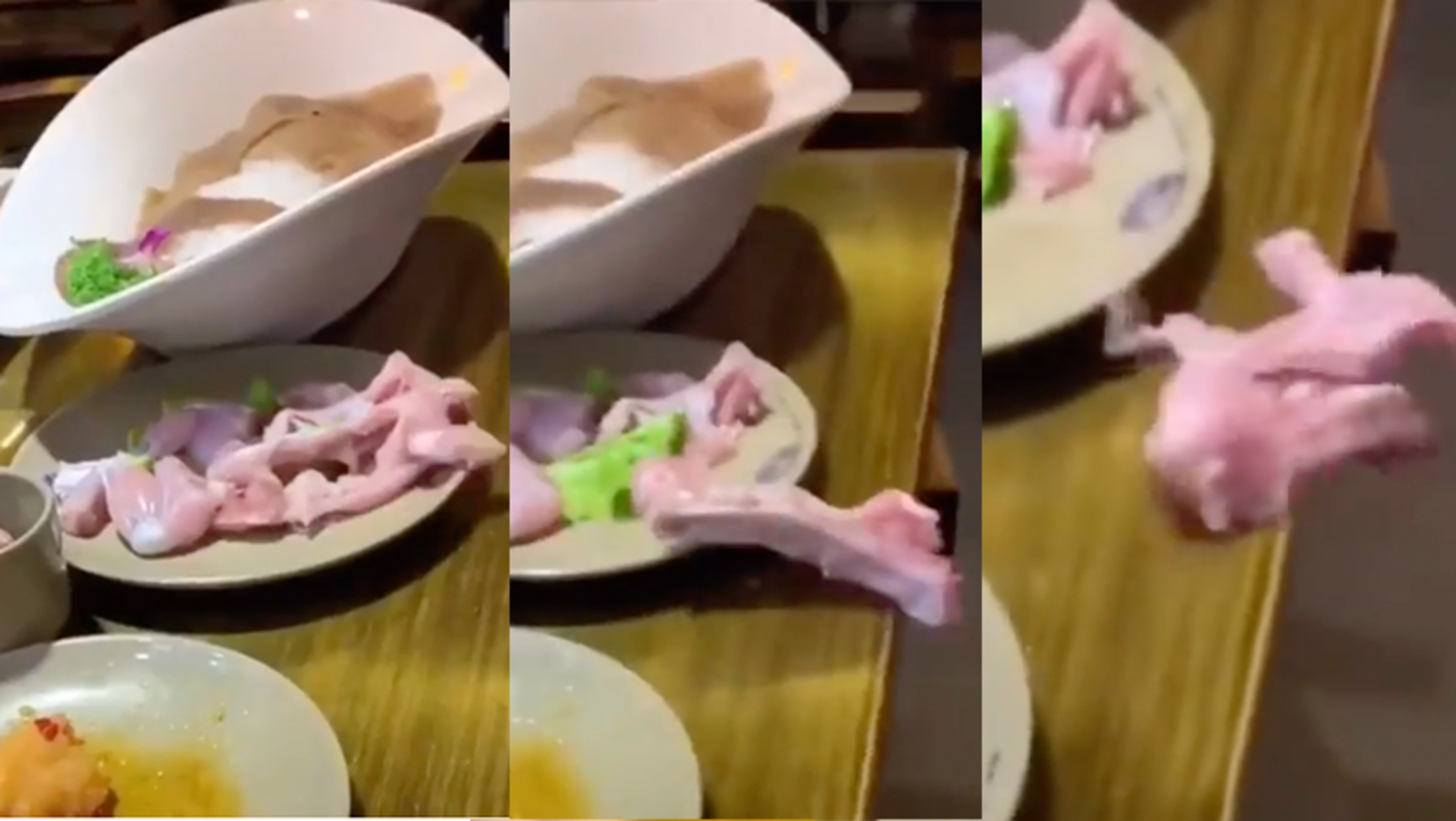 Raw Chicken Breast Appears To Come Back To Life And Crawl Off