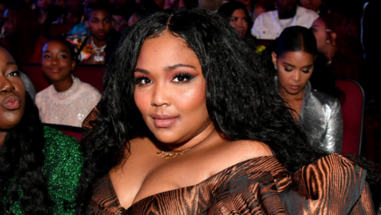 Lizzo shows off her curves as she models lingerie after hitting back at  critics of her 10-day detox