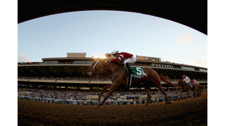 2017 Breeders' Cup World Championships at Del Mar - Day 2