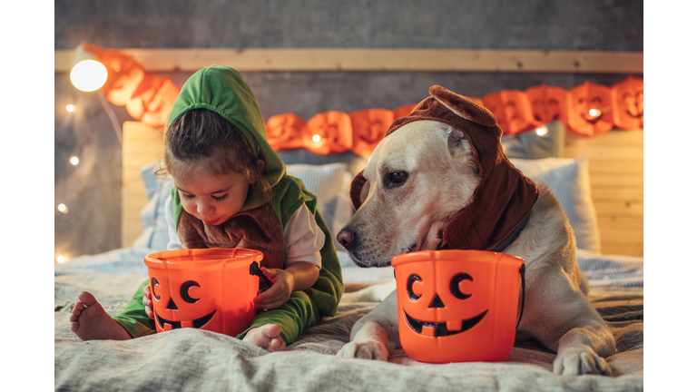 Girl and Dog Halloween