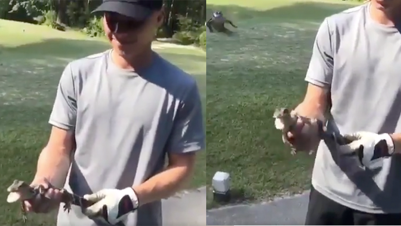 Man Jokingly Picks Up Baby Alligator, Doesn't See Mama Gator Behind Him - Thumbnail Image