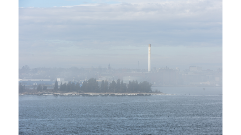 Foggy winter morning on South Coast