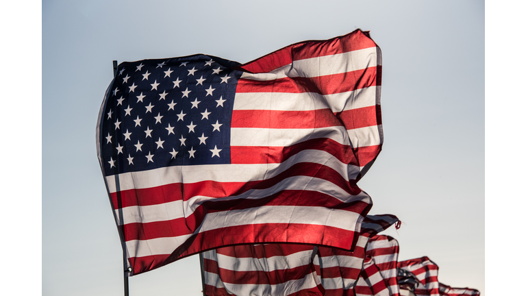 Many American Flags