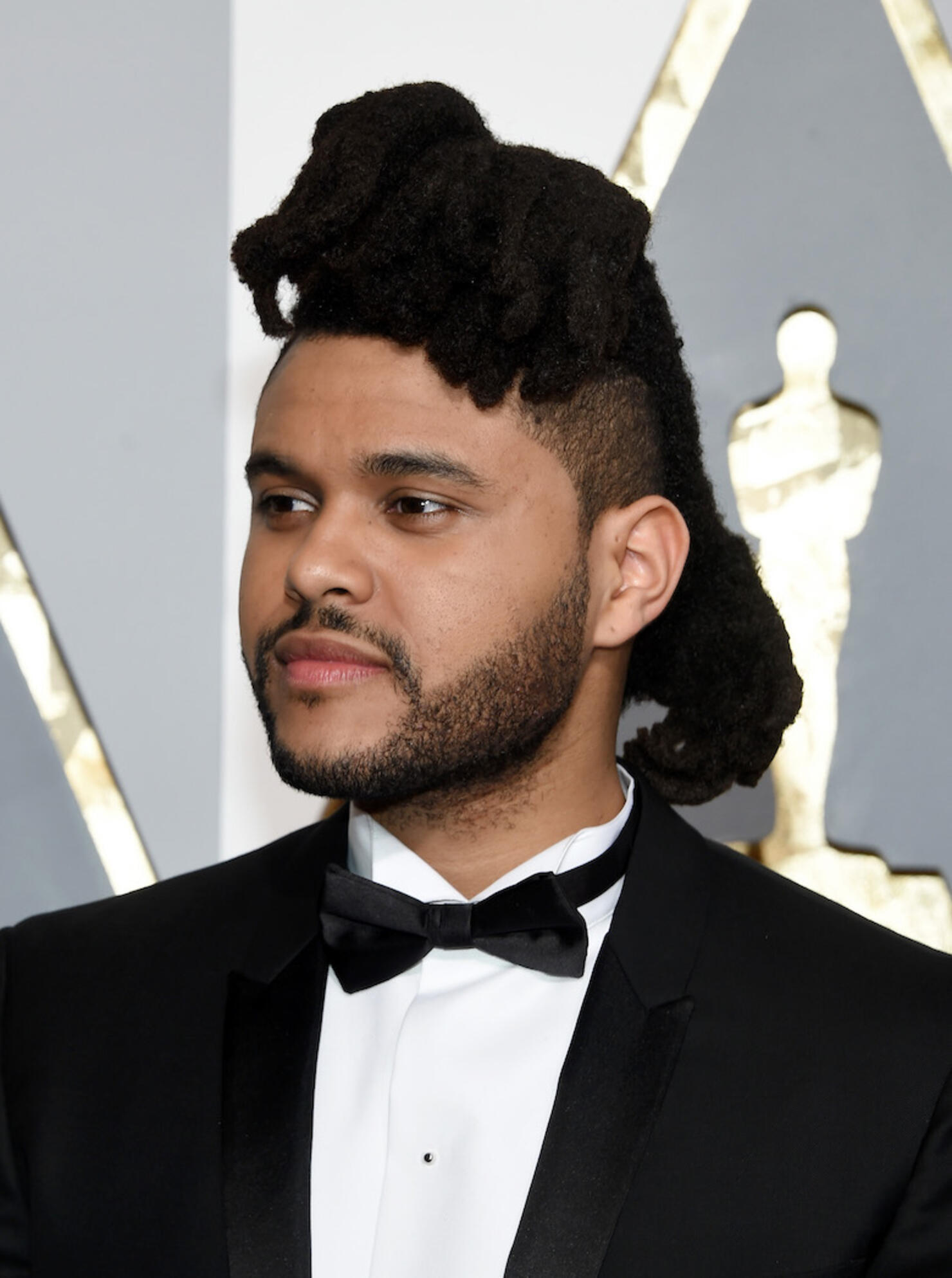 88th Annual Academy Awards - Arrivals
