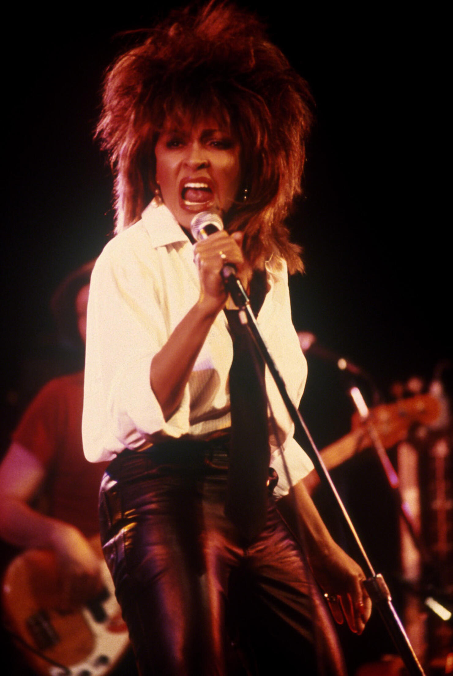 Tina Turner in concert