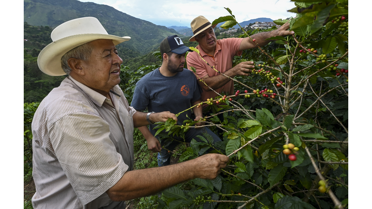 COLOMBIA-COFFEE-CRISIS