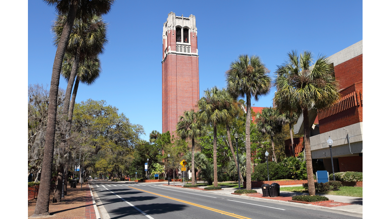 University of Florida