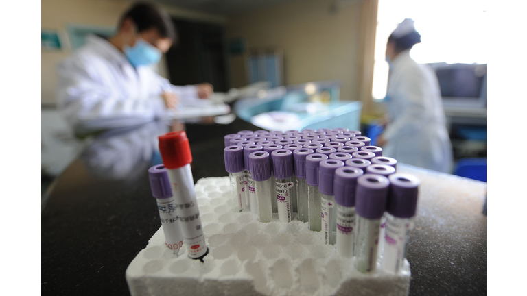 Chinese medical personnel prepare swine