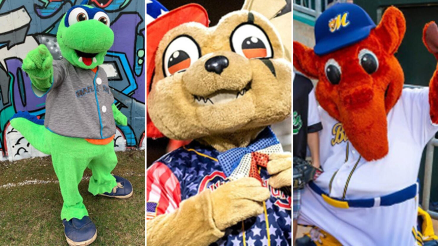 Minor league baseball team gets mascots: Chompers, Chew Chew, Lifestyles