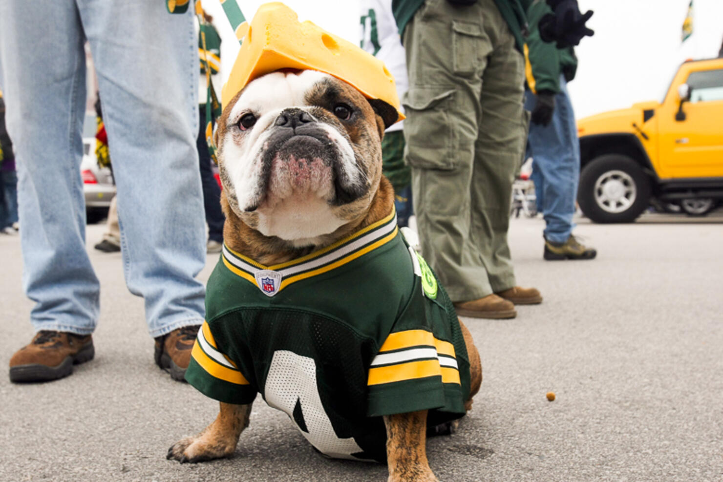Minnesota Vikings v Green Bay Packers
