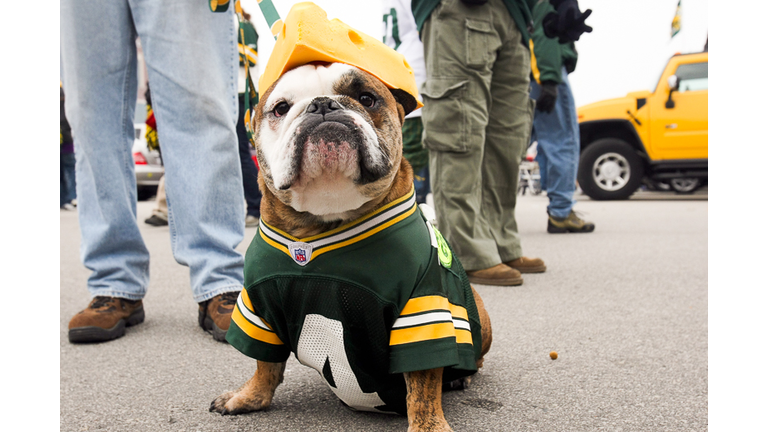 Minnesota Vikings v Green Bay Packers