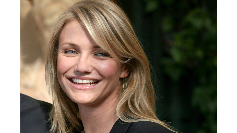 "In Her Shoes" Italian Photocall