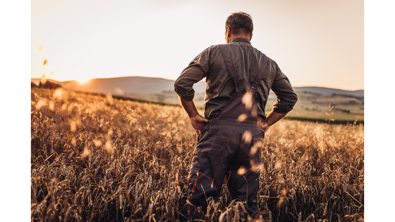 Farmer enjoying in sunset