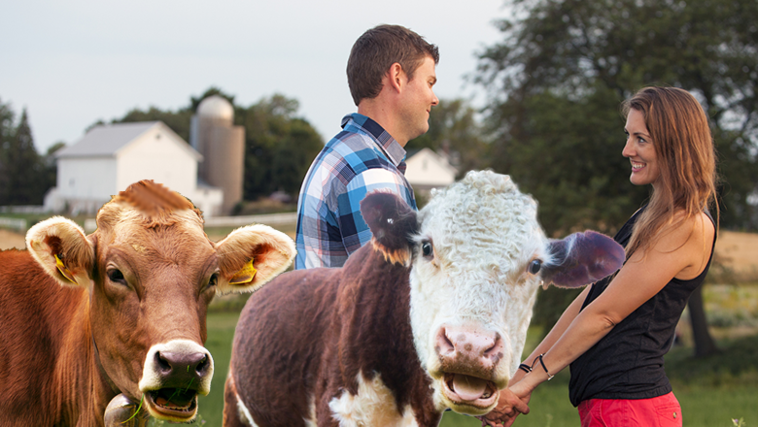 Farmer S Unique Marriage Proposal Using Cow Leaves The Internet Disturbed Iheart