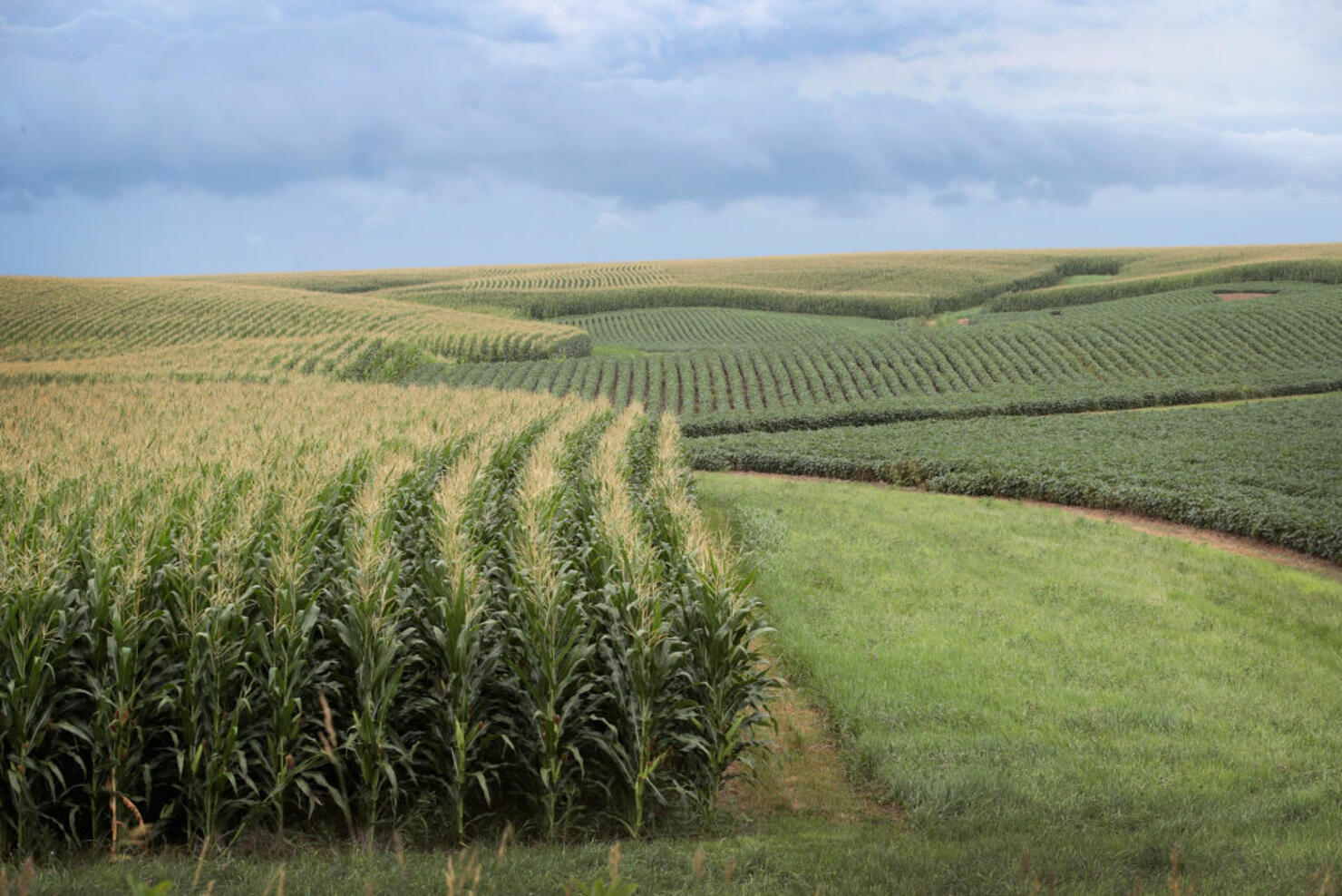 Iowa's Agricultural Economy Under Threat From Trade War With China