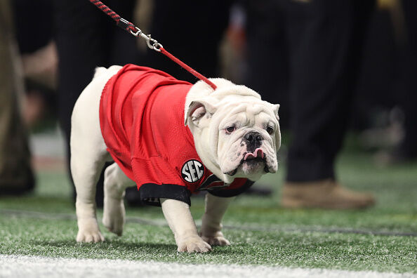 Uga!