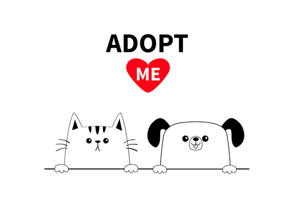 Cat dog head face set. Hands paw holding line. Adopt me. Help homeless animal Pet adoption. Red heart. Cute cartoon kitty puppy character. Funny baby kitten pooch. Flat design. White background