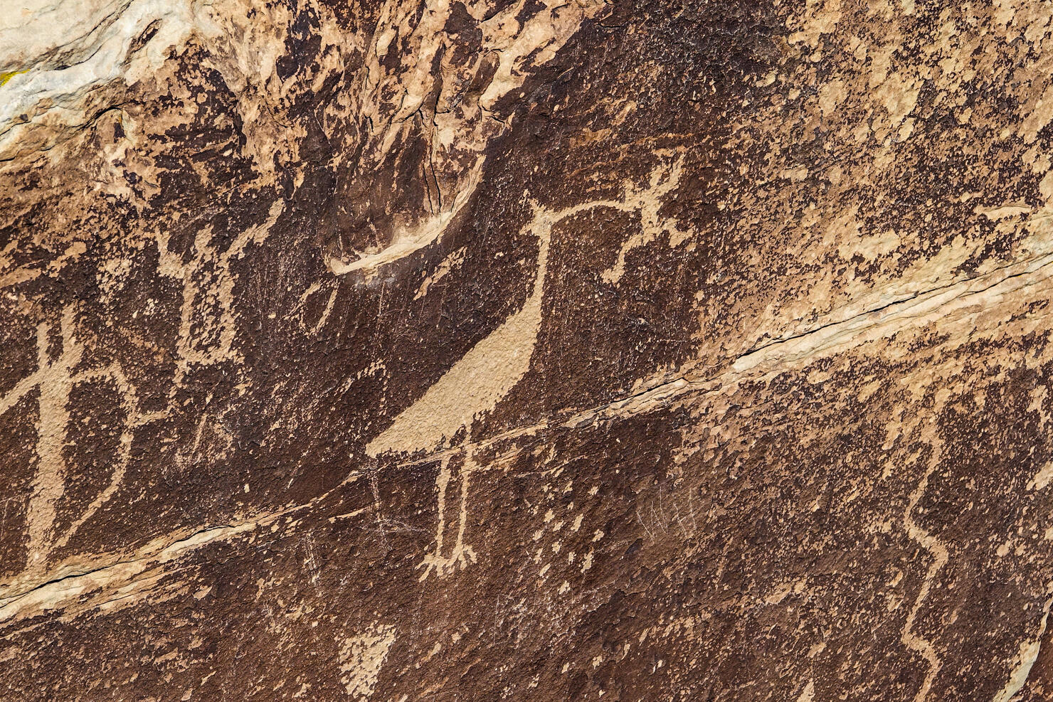 Petroglyphs, Newspaper Rock, Puerco Pueblo, Petrified Forest National Park, Arizona