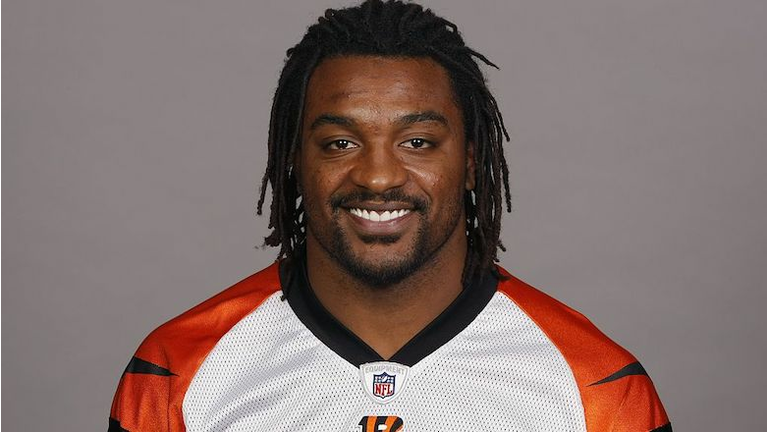Cincinnati Bengals 2009 Headshots