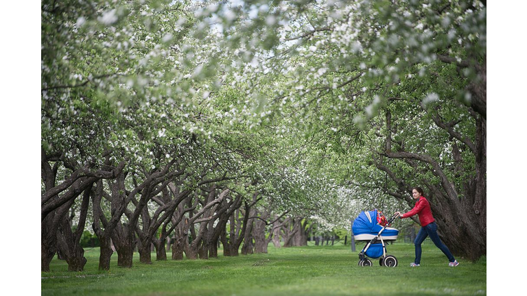 RUSSIA-WEATHER-SPRING-FLOWERS