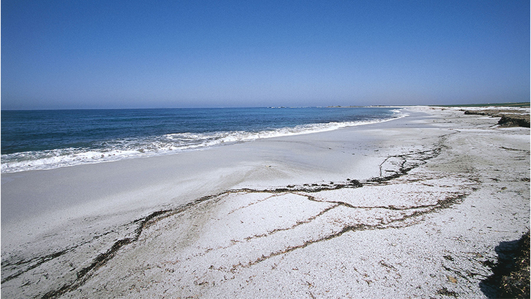 Is Arutas beach, Sinis Peninsula, Sardinia