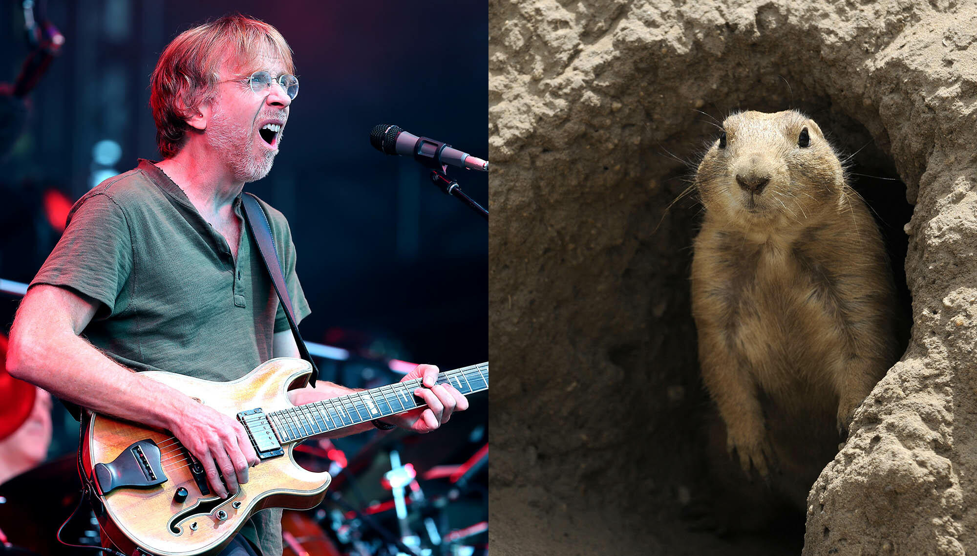 Phish Phans Barred From Camping Due To Prairie Dog Plague In Colorado ...