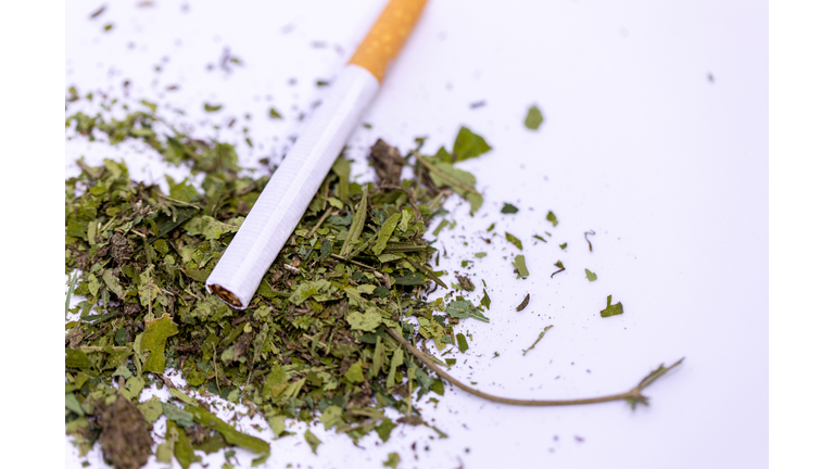 Marijuana leaves, Powder of Cannabis (Drugs) on a White background, For Analysis in laboratory.