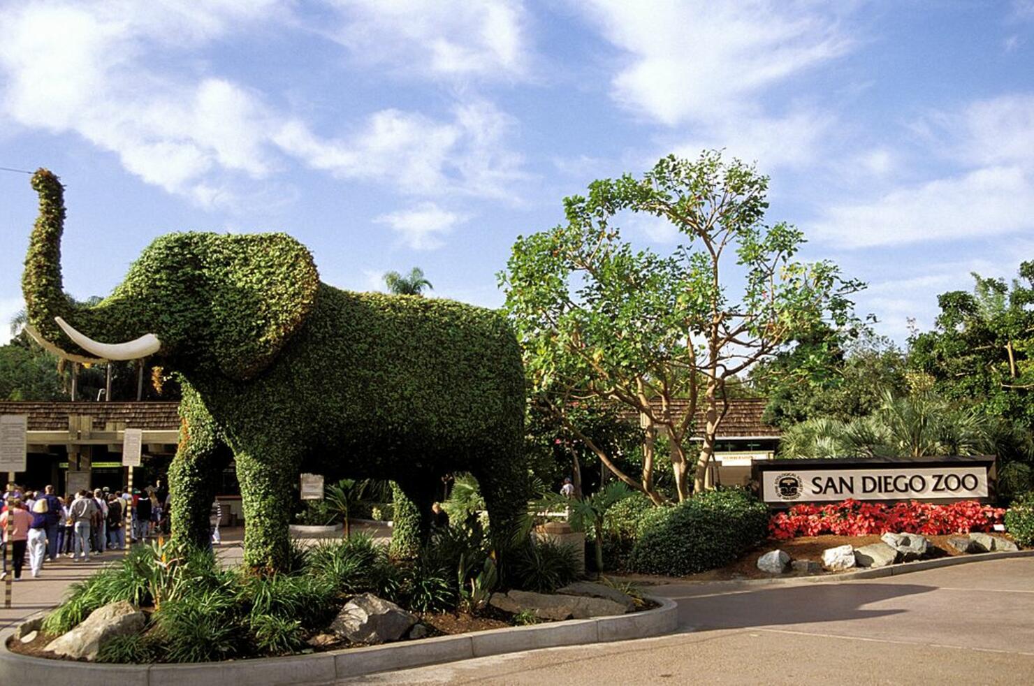 San Diego Zoo Entrance, Topiary Elephant