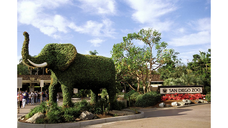 San Diego Zoo Entrance, Topiary Elephant