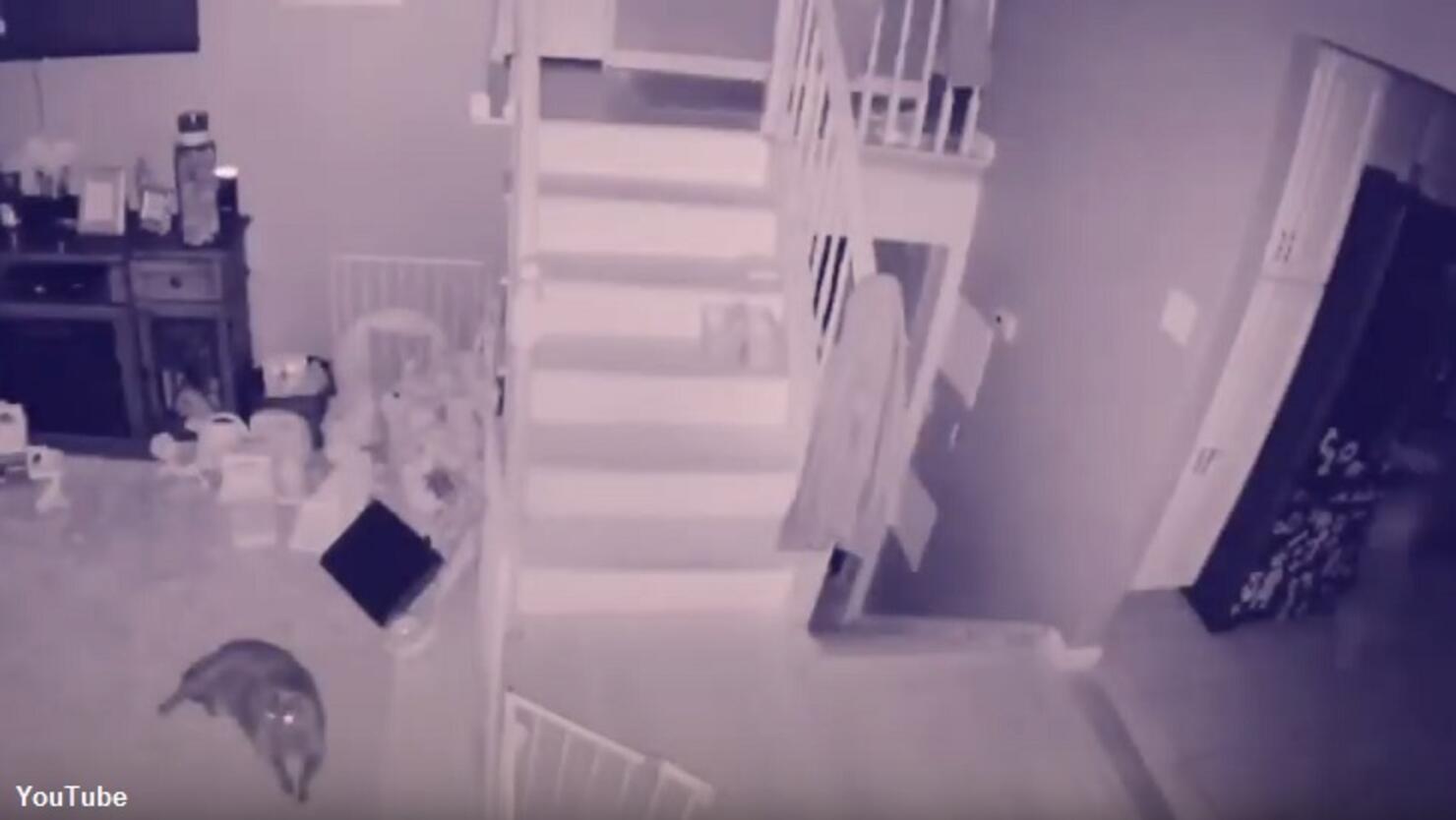 Камеры видеонаблюдения в доме с привидениями